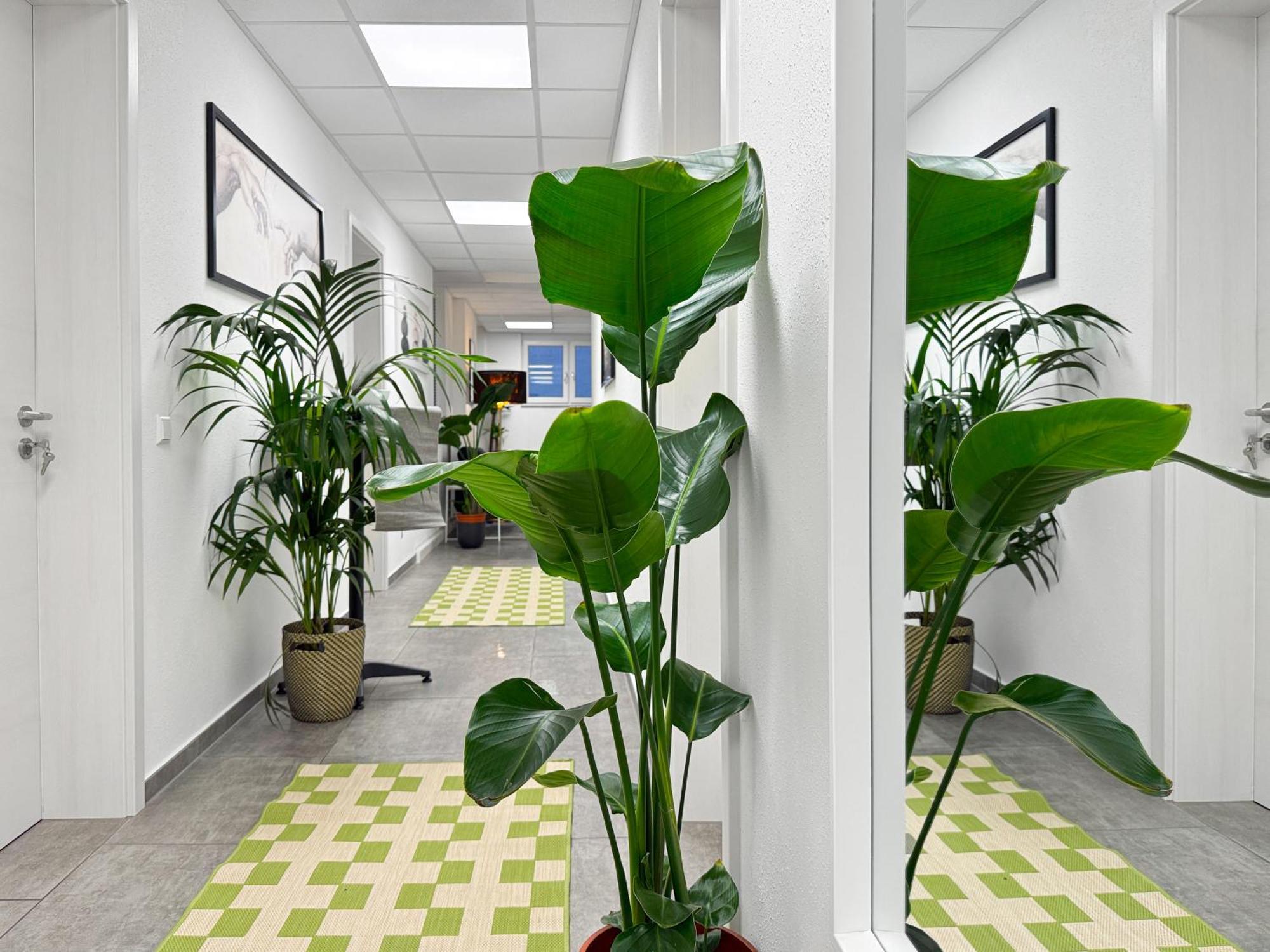 Group Friendly Comfort Central Stuttgart Apartment Zewnętrze zdjęcie